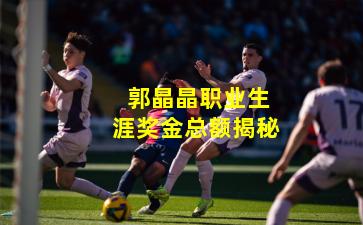 郭晶晶职业生涯奖金总额揭秘