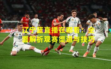 辽宁篮直播在哪看：全面解析观赛渠道与技巧