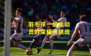 羽毛球一级运动员的荣耀与挑战